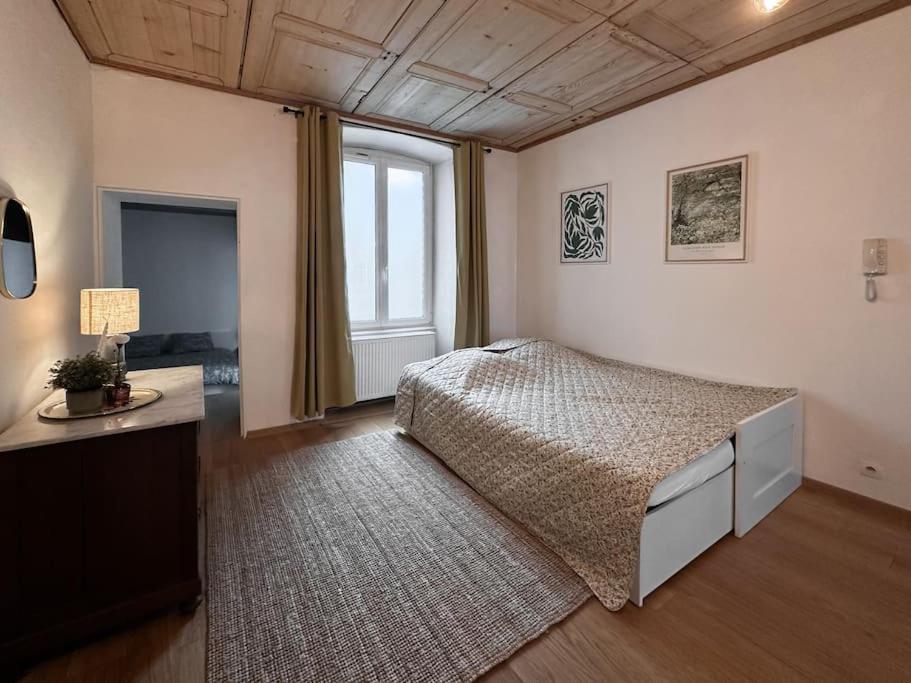 Hypercentre 80M2, A Deux Pas Du Chateau Des Rohan Saverne Exterior foto